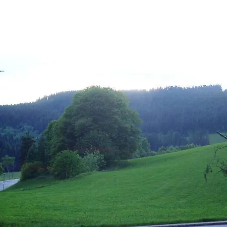 Chez Lisa - Familienurlaub Mit Pool & Sauna + Hsc Schluchsee Esterno foto