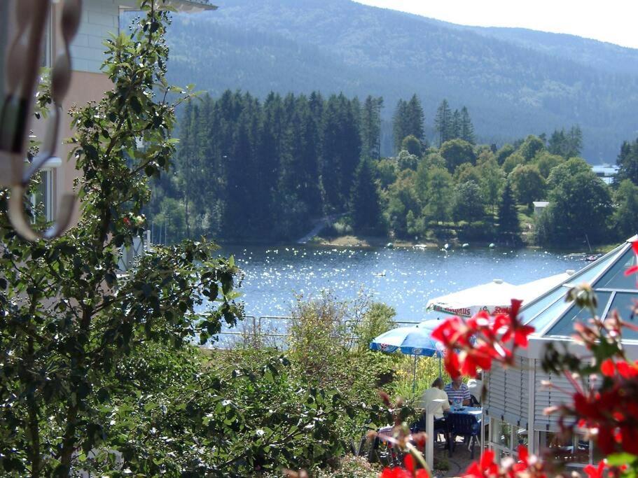 Chez Lisa - Familienurlaub Mit Pool & Sauna + Hsc *